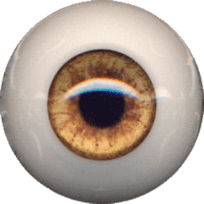 EyeCo PolyGlass - Champagne - 20 mm
