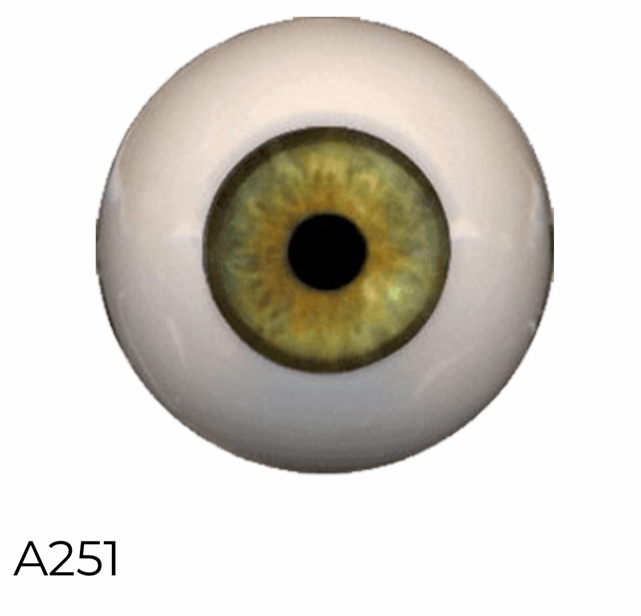 EyeCo PolyGlass - A251 - 18 mm