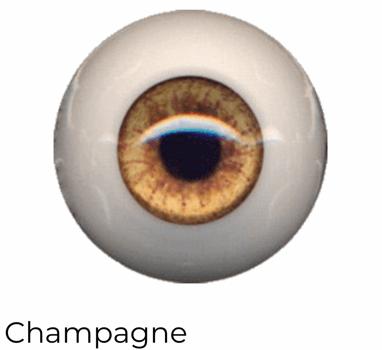 EyeCo PolyGlass - Champagne - 18 mm