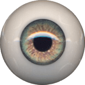 EyeCo PolyGlass - Meadow Green - 20 mm