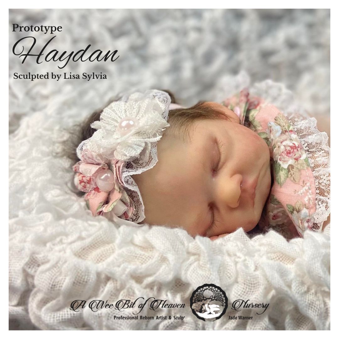 Haydan Vinyl Kit By Lisa Sylvia