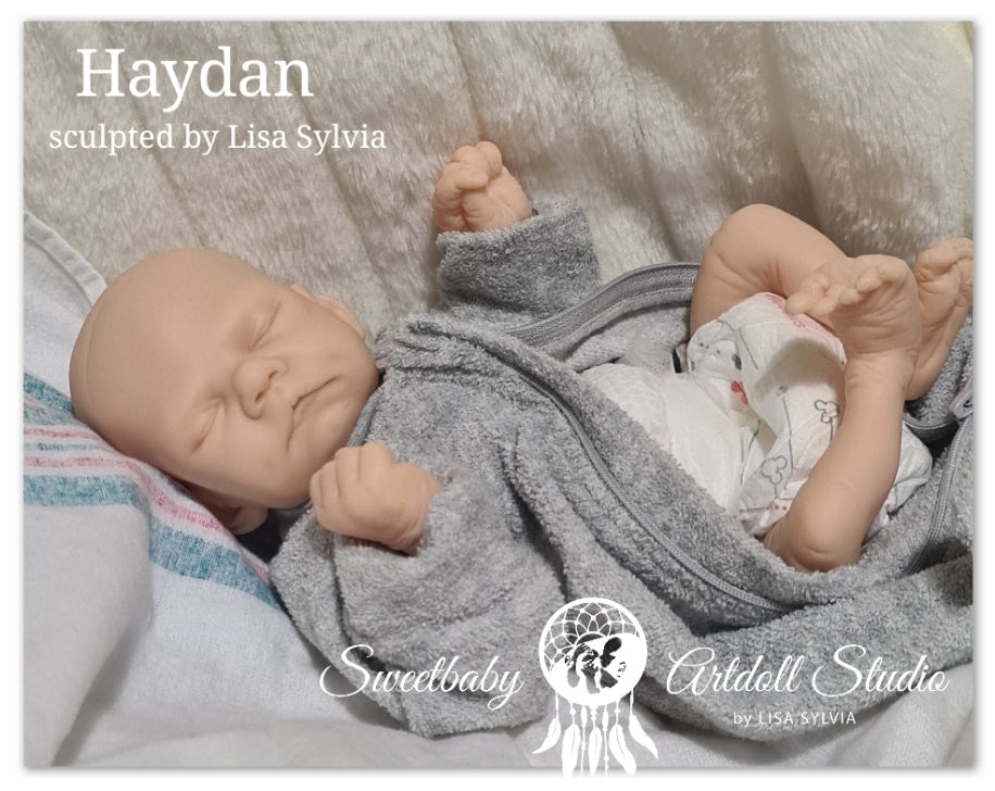 Haydan Vinyl Kit By Lisa Sylvia