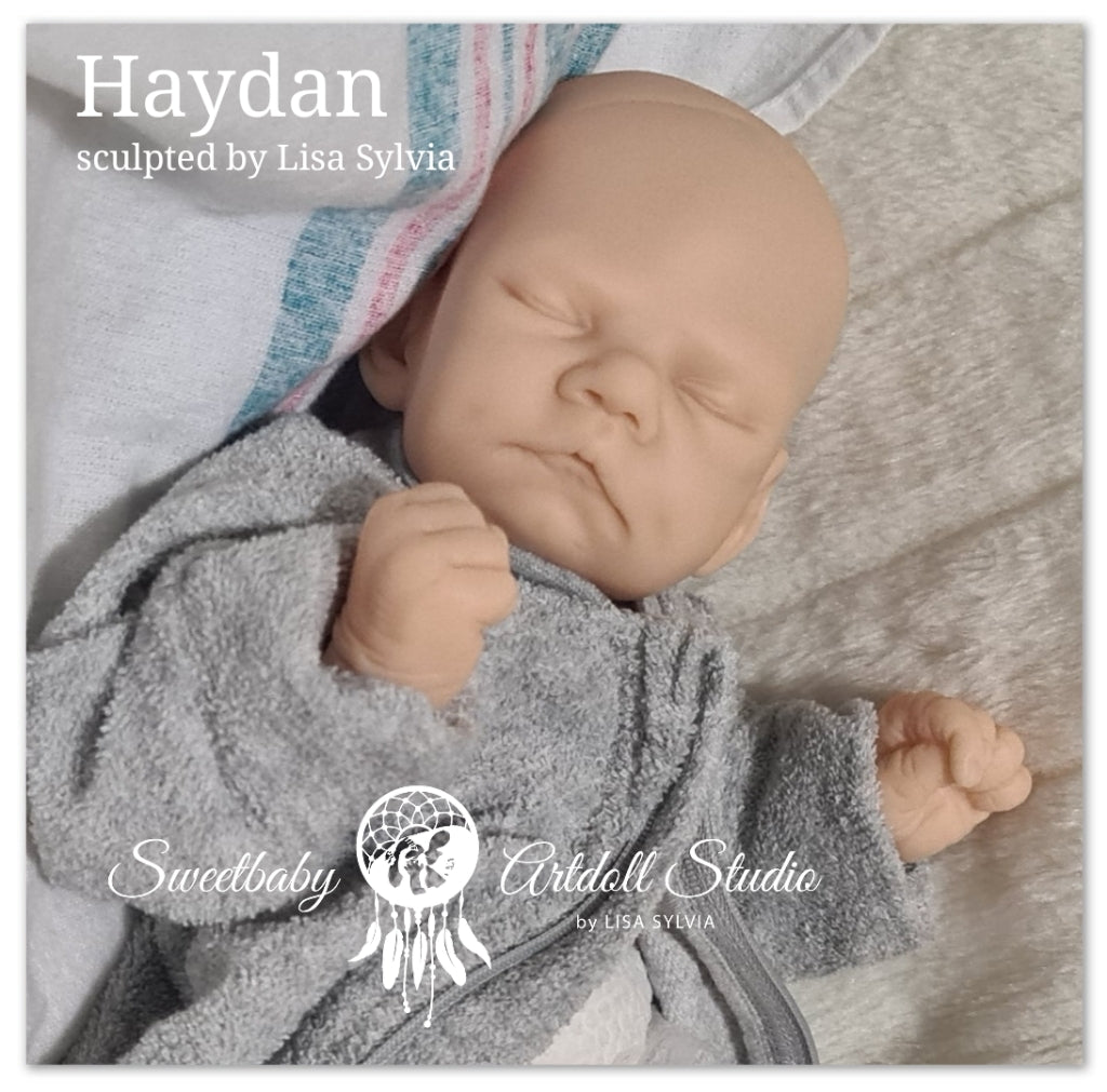 Haydan Vinyl Kit By Lisa Sylvia