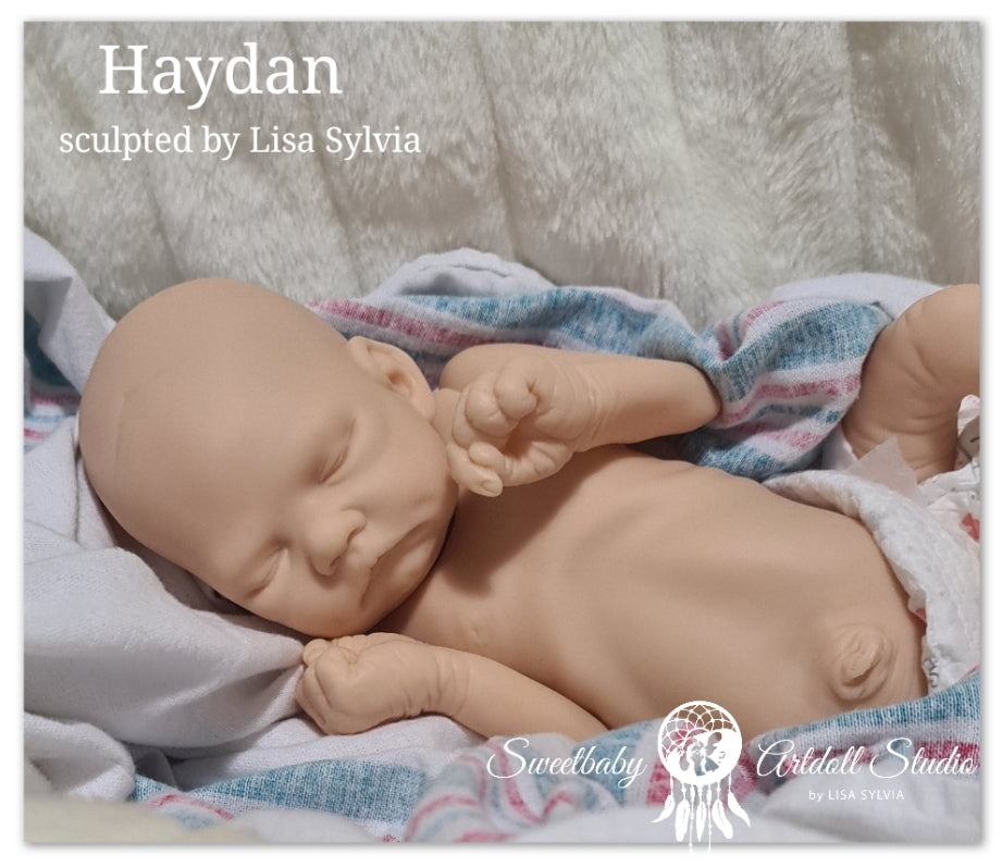 Haydan Vinyl Kit By Lisa Sylvia