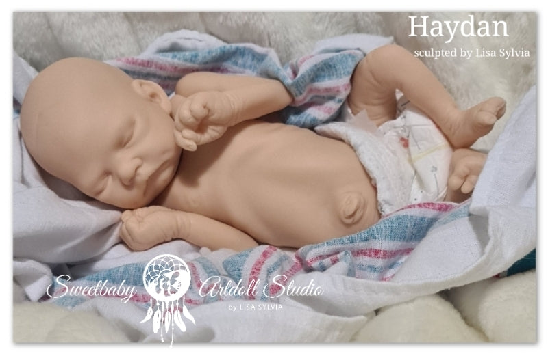 Haydan Vinyl Kit By Lisa Sylvia