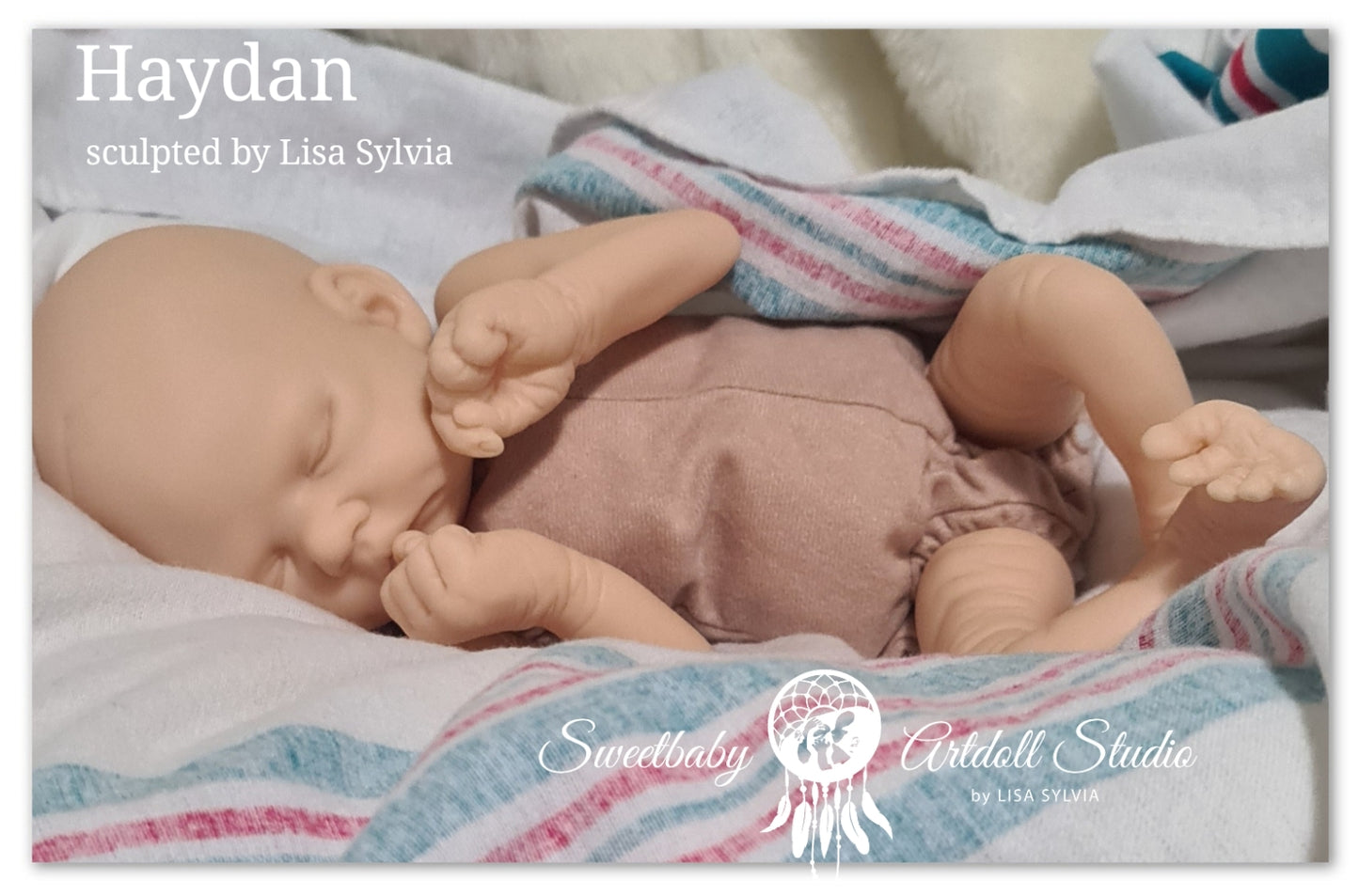 Haydan Vinyl Kit By Lisa Sylvia