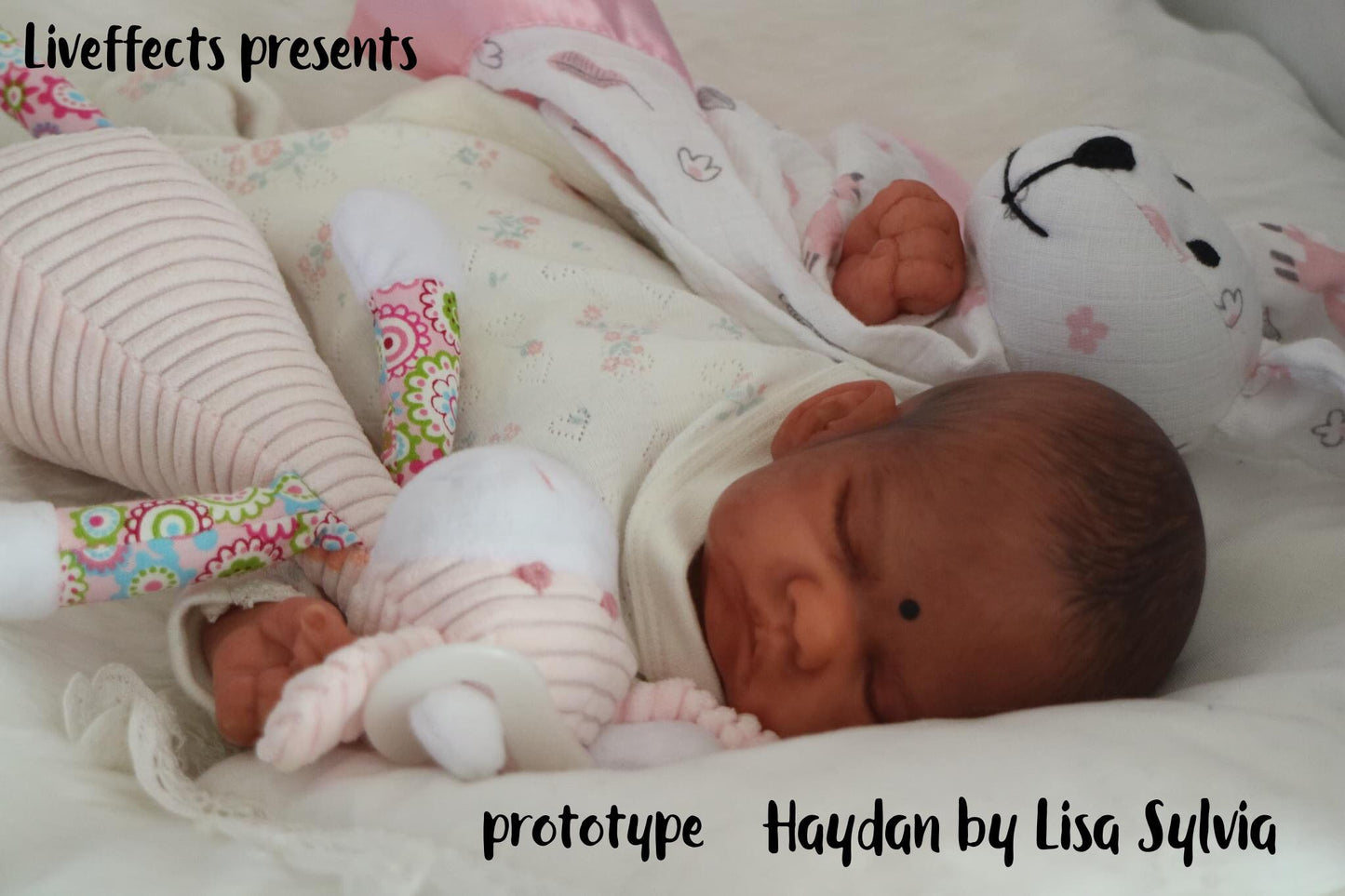 Haydan Vinyl Kit By Lisa Sylvia