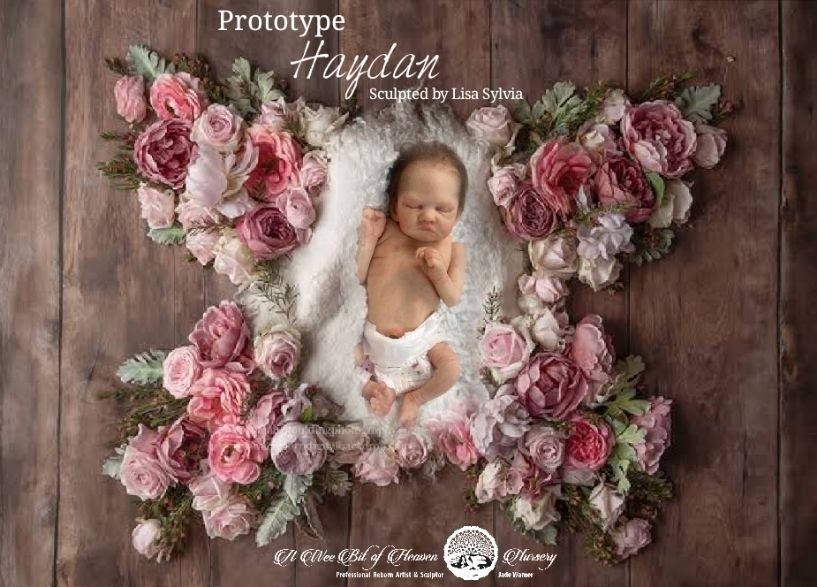 Haydan Vinyl Kit By Lisa Sylvia