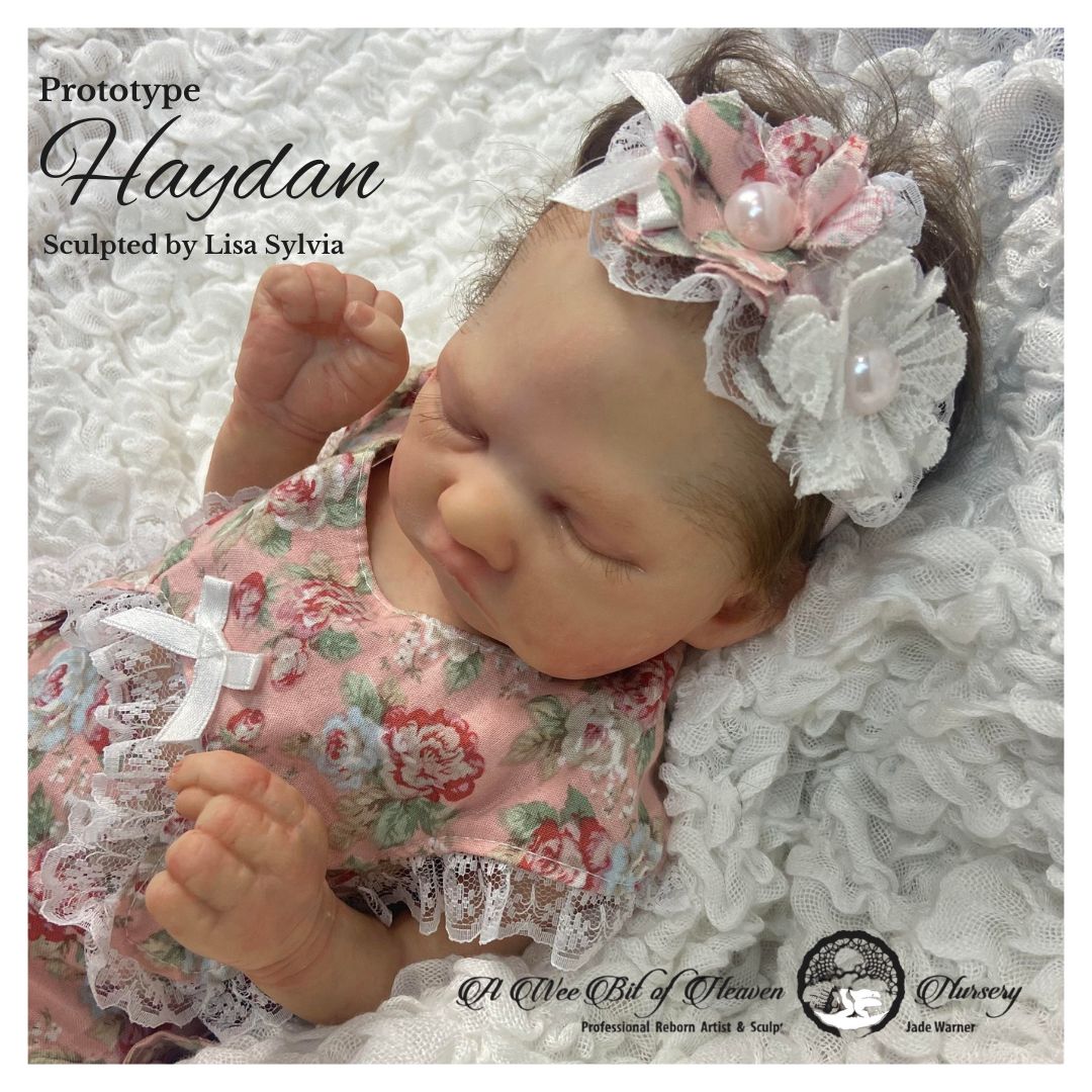 Haydan Vinyl Kit By Lisa Sylvia