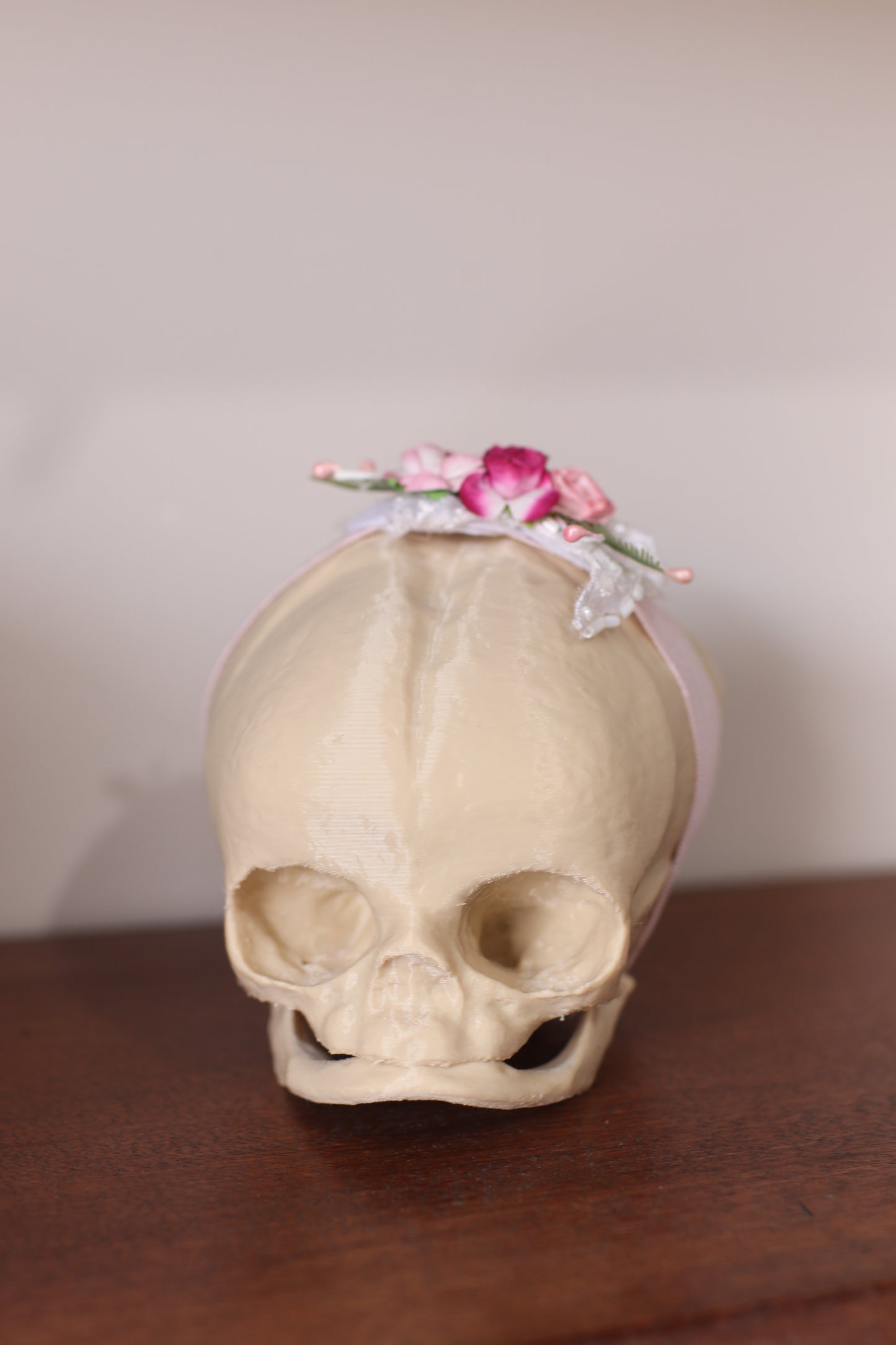 Sculpting Skull Newborn