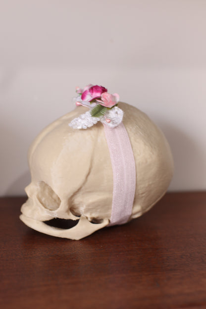 Sculpting Skull Newborn