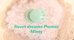 Honeybug Precious Sweetdreams (Preemie size) Design Magnetic Dummy Minty