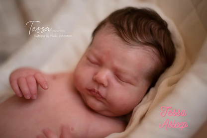 NEW!!!! Sample size Paints Complete Reborn Artist Package with Ultimate Fusion