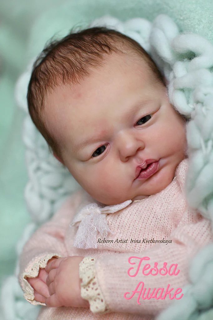 NEW!!!! Sample size Paints Complete Reborn Artist Package with Ultimate Fusion