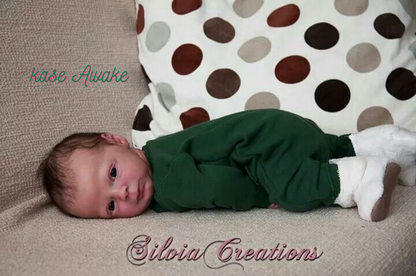 NEW!!!! Full Size Paints Complete Reborn Artist Package with Ultimate Fusion