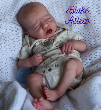 NEW!!!! Sample size Paints Complete Reborn Artist Package with Ultimate Fusion