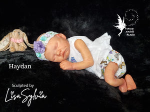 Haydan Vinyl Kit By Lisa Sylvia
