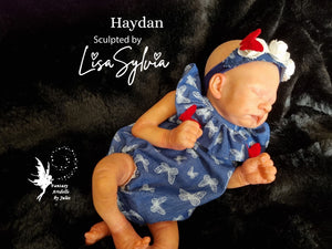 Haydan Vinyl Kit By Lisa Sylvia